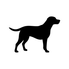 Dog Breed Silhouettes, Personalized Dog Silhouette, Dog Breed SVG,