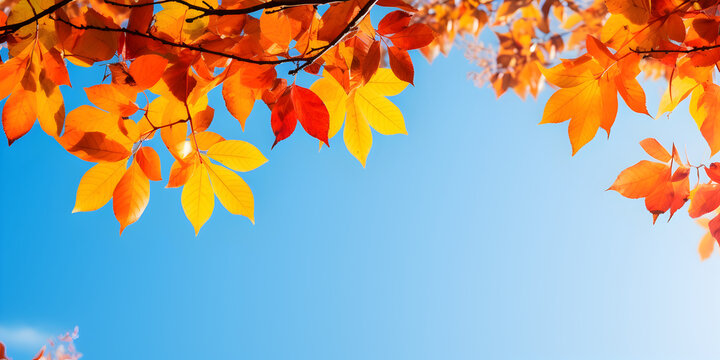 Vibrant autumn foliage leaves on trees, with a clear blue sky peeking through, free copy space for text