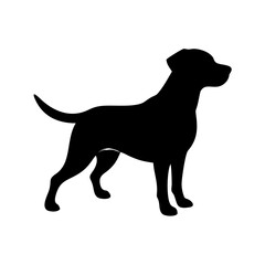 Dog Breed Silhouettes, Personalized Dog Silhouette, Dog Breed SVG,