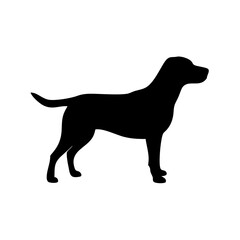 Dog Breed Silhouettes, Personalized Dog Silhouette, Dog Breed SVG,