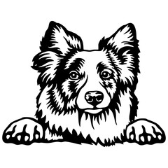 Peeking Border Collie - Dog lover owner gift - Dog cut file - Peeking Dog Cut Stencil