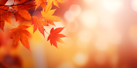 Autumn leaves in warm hues of red, orange, and yellow, with a blurred background of trees, bokeh effect, free copy space for text