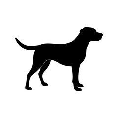 Dog Breed Silhouettes, Personalized Dog Silhouette, Dog Breed SVG,