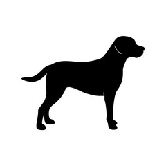 Dog Breed Silhouettes, Personalized Dog Silhouette, Dog Breed SVG,