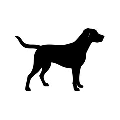 Dog Breed Silhouettes, Personalized Dog Silhouette, Dog Breed SVG,