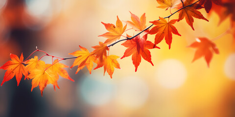 Autumn leaves hanging delicately from branches, with a blurred background, free copy space for text