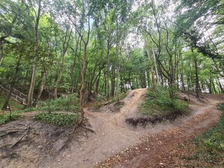 Waldgebiet in Wilhelmshöhe, Mecklenburg - Vorpommern