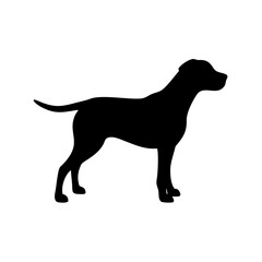 Dog Breed Silhouettes, Personalized Dog Silhouette, Dog Breed SVG,