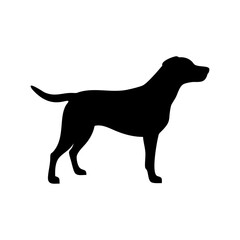 Dog Breed Silhouettes, Personalized Dog Silhouette, Dog Breed SVG,