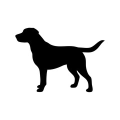 Dog Breed Silhouettes, Personalized Dog Silhouette, Dog Breed SVG,
