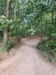 Naturpfad in Wilhelmshöhe, Mecklenburg - Vorpommern