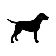 Dog Breed Silhouettes, Personalized Dog Silhouette, Dog Breed SVG,