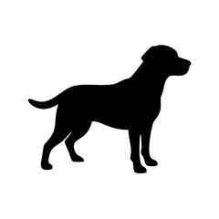 Dog Breed Silhouettes, Personalized Dog Silhouette, Dog Breed SVG,