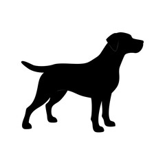 Dog Breed Silhouettes, Personalized Dog Silhouette, Dog Breed SVG,