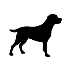 Dog Breed Silhouettes, Personalized Dog Silhouette, Dog Breed SVG,