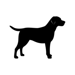 Dog Breed Silhouettes, Personalized Dog Silhouette, Dog Breed SVG,