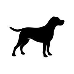 Dog Breed Silhouettes, Personalized Dog Silhouette, Dog Breed SVG,