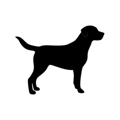 Dog Breed Silhouettes, Personalized Dog Silhouette, Dog Breed SVG,