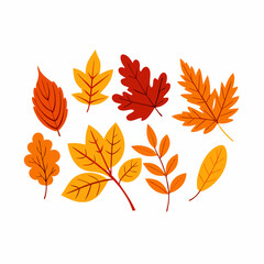 Set with fall leaves isolated on white background Can be used for decoration (6)