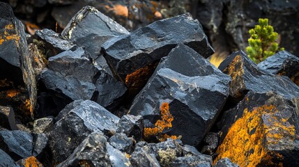 Fototapeta premium Jagged and weighty obsidian rocks rest precariously upon a ledge, found along the Big Obsidian Flow path.