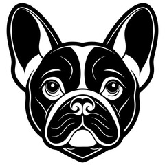 english bulldog portrait