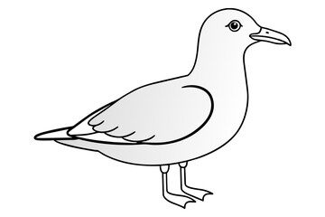 Beautiful bird of gull bird line art vector art illustration