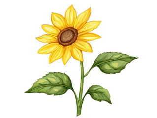 Fototapeta premium A vibrant sunflower with bright yellow petals and lush green leaves, perfect for adding a touch of nature's beauty.