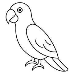 parrot coloring page, parrot outline, tropical bird, parrot illustration, cartoon parrot, kids coloring page, colorful parrot, parrot sketch, exotic bird, macaw, parrot perched, parrot with flowers,