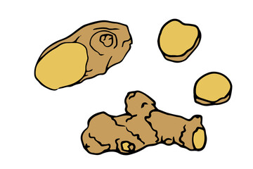 Fresh ginger root illustration, perfect for recipe cards, food blogs, or health-related content. Ideal for branding, packaging, or educational materials.