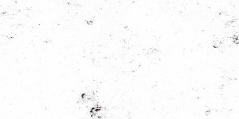 Grunge background texture black white grunge, Chaotic grunge ink particles. Abstract texture with grain and stain. Splashes of paint