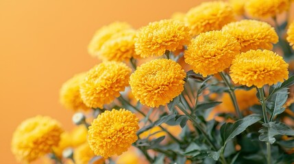   A bouquet of yellow blossoms resting atop a lush green foliage in front of an intense orange backdrop