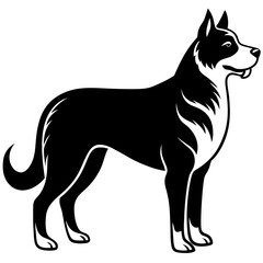 black and white wolf