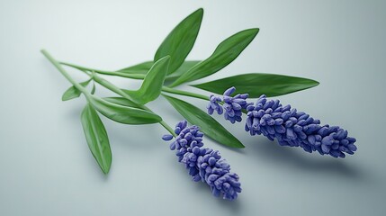 Obraz premium Purple flowers on white countertop, next to green leafy plant on table