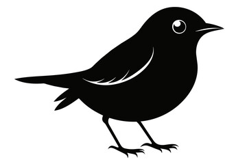 Beautiful bird robin silhouette black vector art illustration