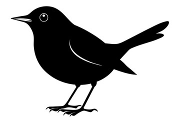 Beautiful bird robin silhouette black vector art illustration