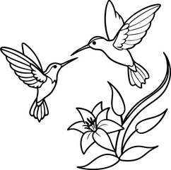 Naklejka premium Adorable hummingbird duo line art perfect for kids coloring book 