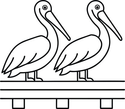 recommend clip art: Easy pelican duo illustration for kids coloring book with playful line art
                    