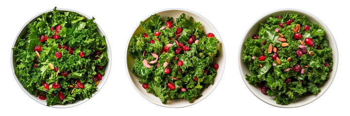 Set of kale and cranberry salad isolated on a transparent background