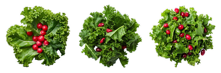 Set of kale and cranberry salad isolated on a transparent background