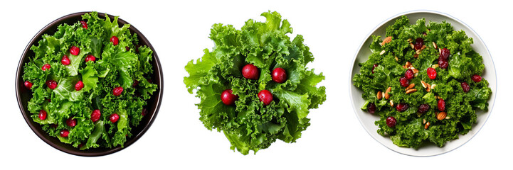 Set of kale and cranberry salad isolated on a transparent background