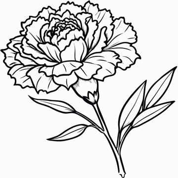 carnation flower black and white outline clip art preview
