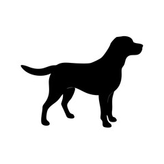 Dog Breeds, Dog Vector Graphic, Dog SVG - digital download svg,