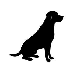 Dog Breeds, Dog Vector Graphic, Dog SVG - digital download svg,