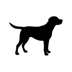 Dog Breeds, Dog Vector Graphic, Dog SVG - digital download svg,