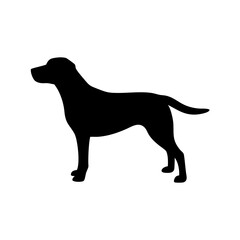 Dog Breeds, Dog Vector Graphic, Dog SVG - digital download svg,