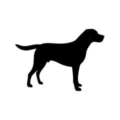 Dog Breeds, Dog Vector Graphic, Dog SVG - digital download svg,
