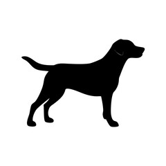 Dog Breeds, Dog Vector Graphic, Dog SVG - digital download svg,