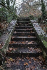 Obraz premium An old, weathered stone staircase covered with fallen autumn leaves and patches of moss leads through a dense, tranquil forest setting