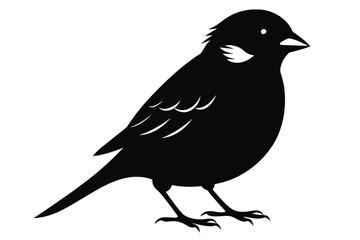  Beautiful bird sparrow silhouette black vector art illustration