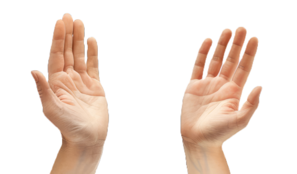 Set of woman hands showing holding and supporting